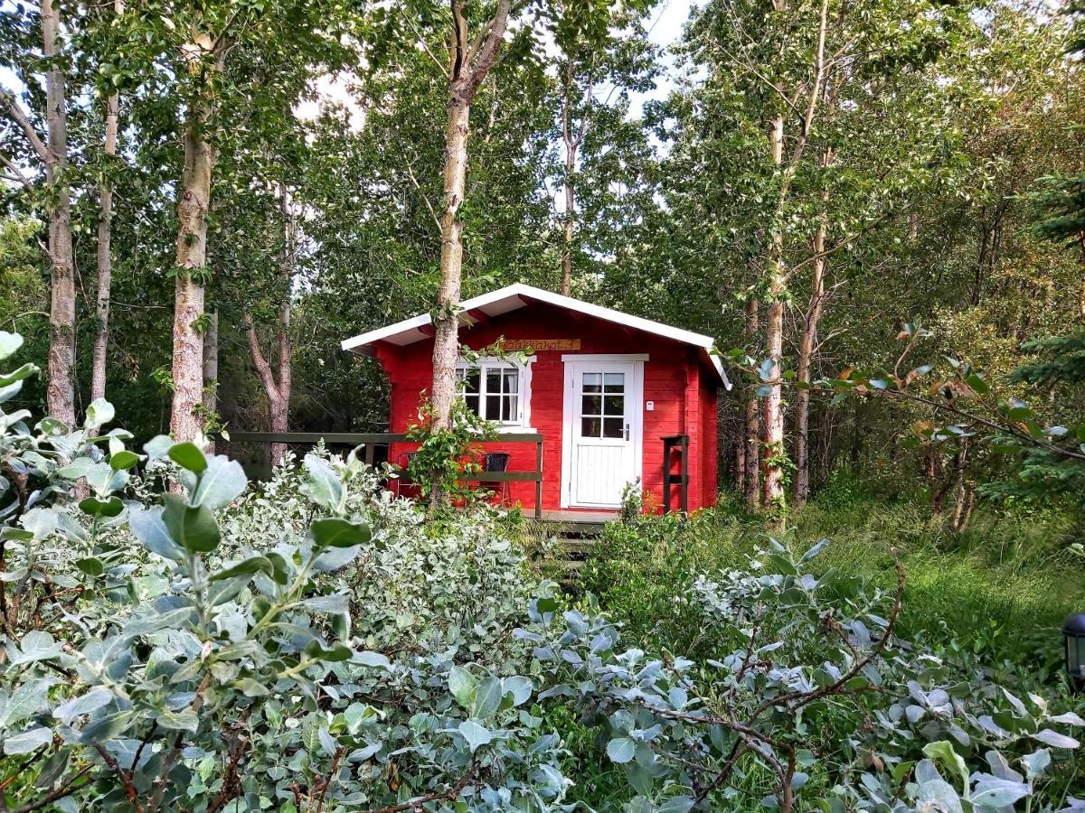 Bakkakot 3 Cozy Cabin In The Woods Akureyri Exteriér fotografie