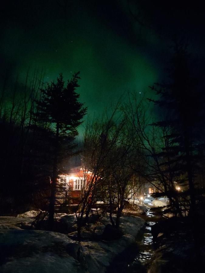 Bakkakot 3 Cozy Cabin In The Woods Akureyri Exteriér fotografie